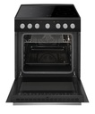 FACV3004N